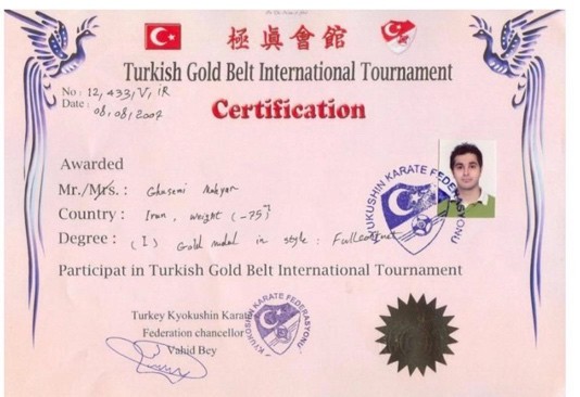 Turkish Gold Belt International Tournament certification, gold medal, full contact, 2007